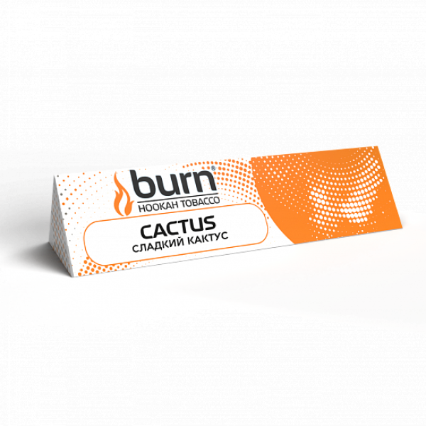 Табак BURN CACTUS 25 грамм в Норильске