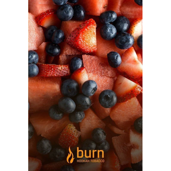 Табак Burn Berried Treasure 100 грамм в Норильске