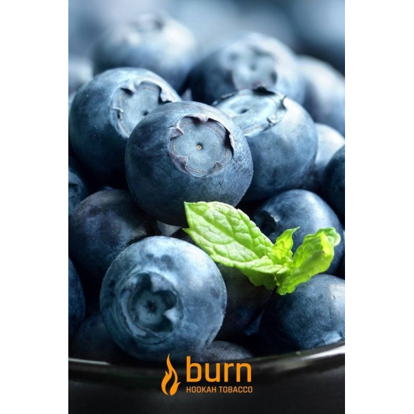Табак Burn Blueberry Mint 100 грамм в Норильске