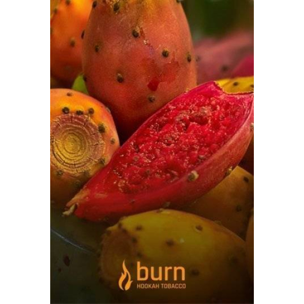 Табак Burn Cactus 100 грамм в Норильске