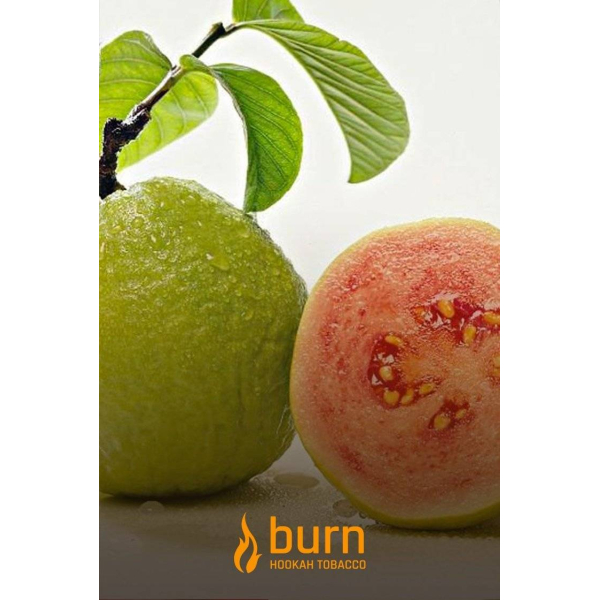 Табак Burn Guava 100 грамм в Норильске