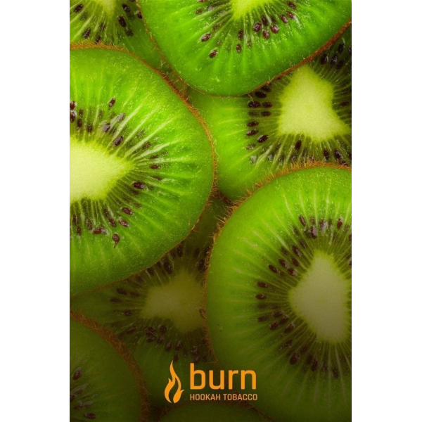 Табак Burn Kiwi 100 грамм в Норильске