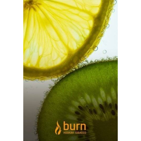 Табак Burn Kiwi Lemon 100 грамм в Норильске
