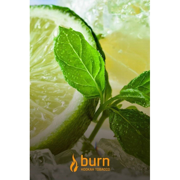 Табак Burn Lemon Mint 100 грамм в Норильске