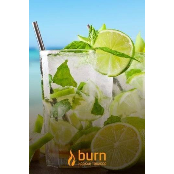 Табак Burn Mojito 100 грамм в Норильске