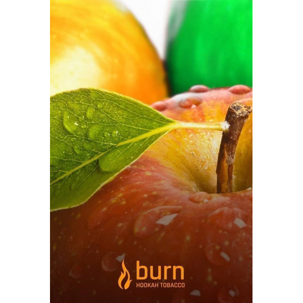 Табак Burn Three Apples 100 грамм в Норильске