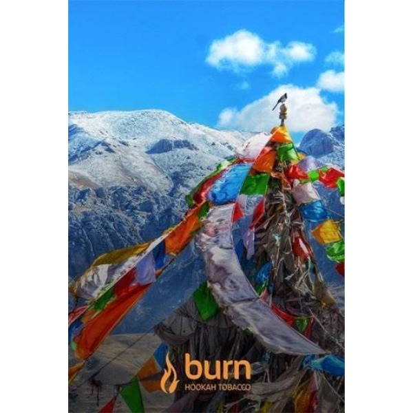 Табак Burn Tibet 100 грамм в Норильске