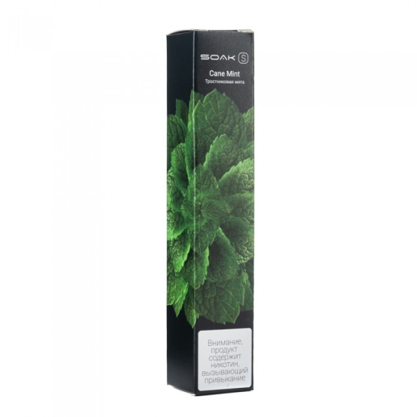 SOAK S Cane Mint (Тростниковая мята), 2500 тяг в Норильске