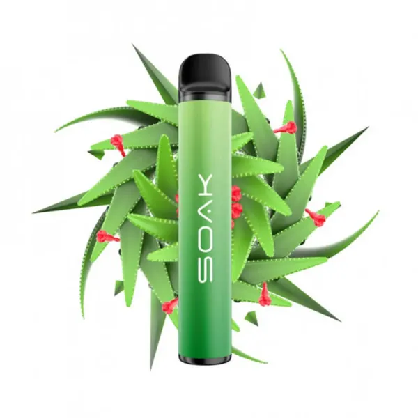 SOAK X Aloe Vera (Алое Вера), 1500 тяг в Норильске