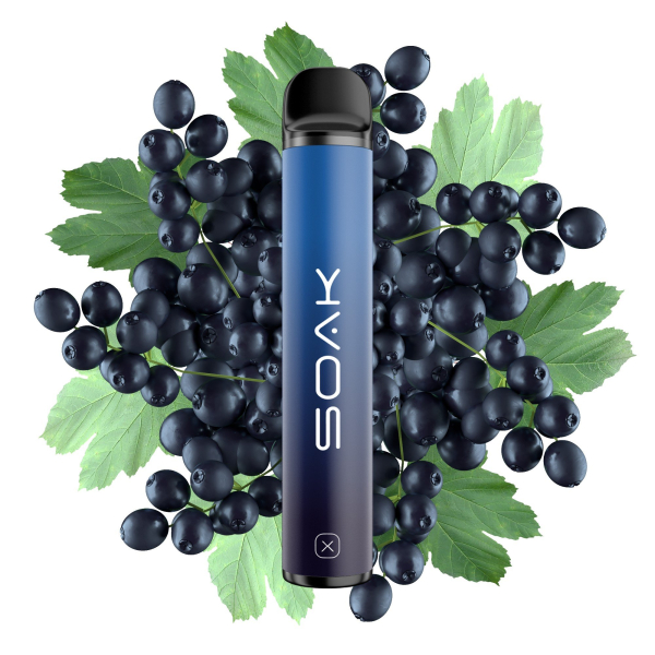 SOAK X Forest Blackcurrant (Лесная черная смородина), 1500 тяг в Норильске