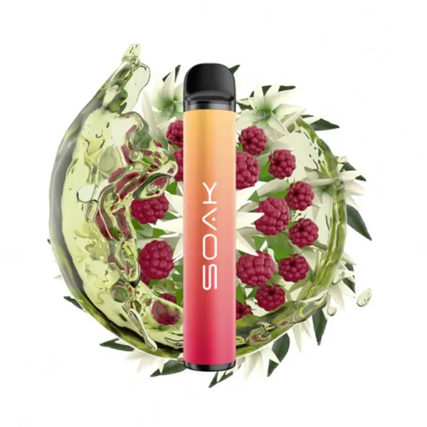 SOAK X Jasmin Raspberry Tea (Жасминовый чай с малиной), 1500 тяг в Норильске