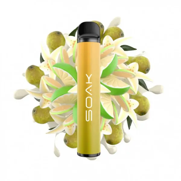 SOAK X Vanilla Pear (Ванильная груша с лаймом), 1500 тяг в Норильске