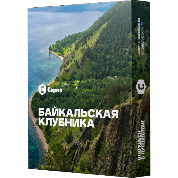 Табак Сарма Байкальская Клубника 25 гр в Норильске