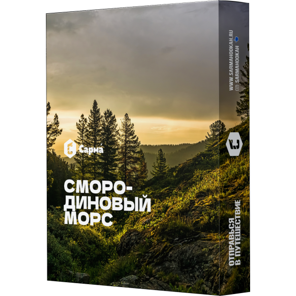 Табак Сарма Смородиновый Морс 25 гр в Норильске