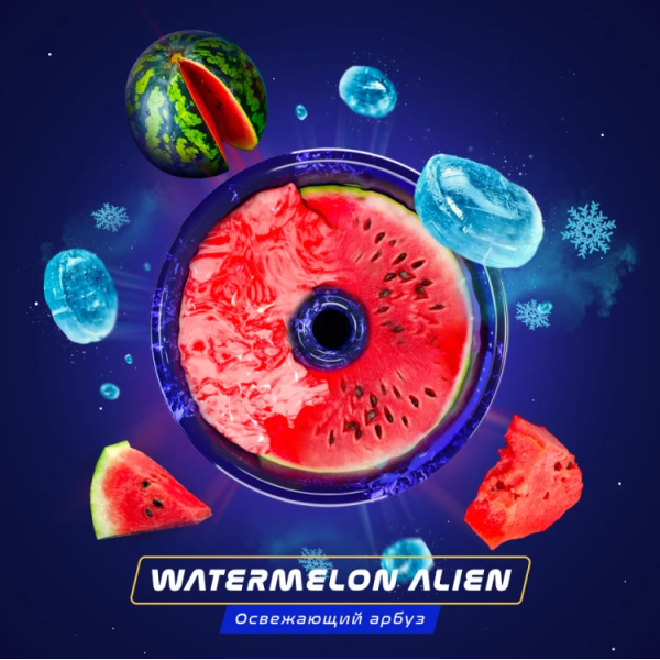 Паста Space Smoke ZERO Watermelon  Alien (Арбуз с  холодком) 30 гр в Норильске