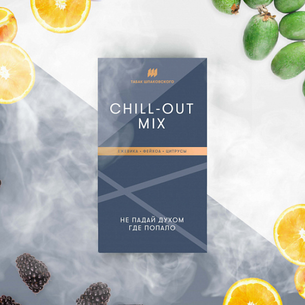 Табак Шпаковского Chill Out (Ежевика Фейхоа Цитрусы) 40 грамм в Норильске