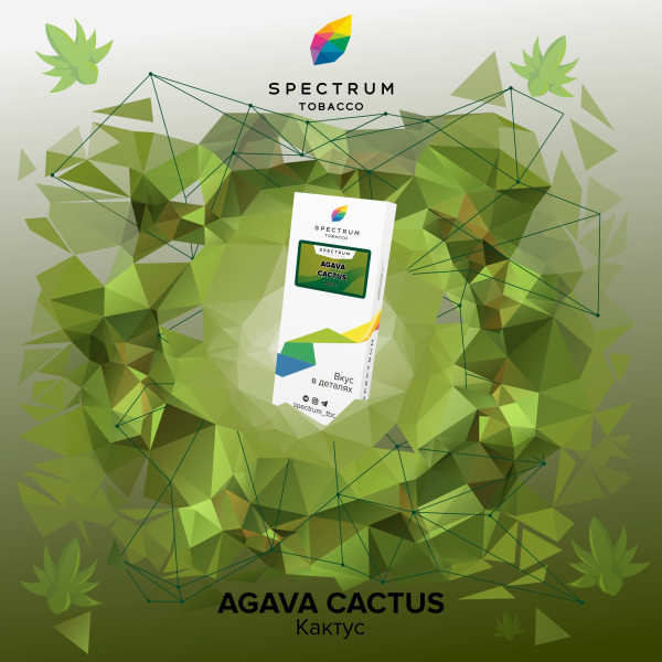 Табак Spectrum Classic Agava Cactus 100 грамм в Норильске