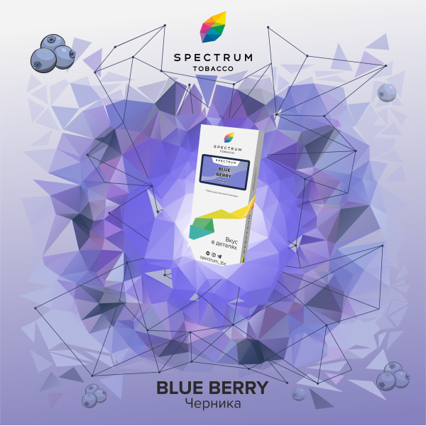 Табак Spectrum Classic Blue Berry 100 грамм в Норильске