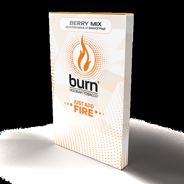 Табак Burn Berry Mix  100 грамм в Норильске