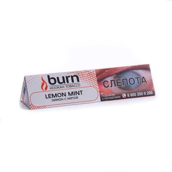 Табак Burn Lemon Mint  25 грамм в Норильске