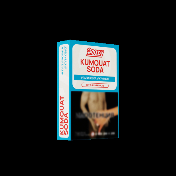 Табак Ready Kumquat Soda 25 грамм в Норильске